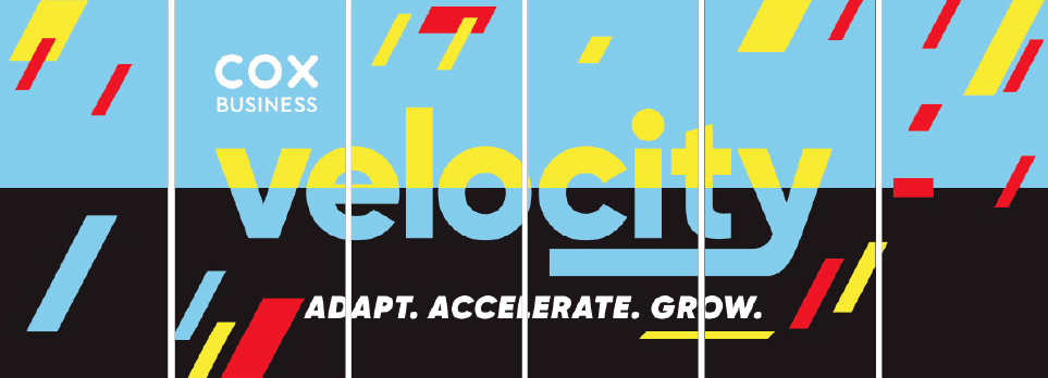 cox window design version